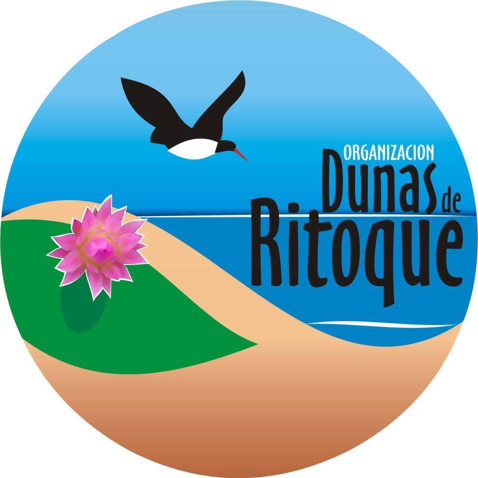 Dunas de Ritoque