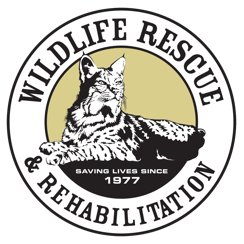 Wildlife Rescue