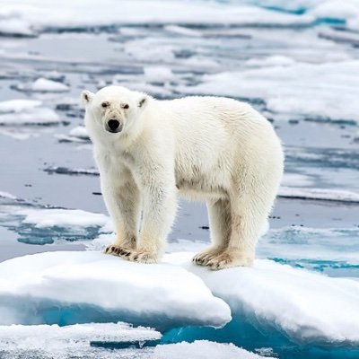 Climate Change Task Force