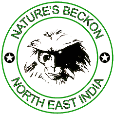 Nature's Beckon