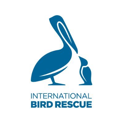 International Bird Rescue