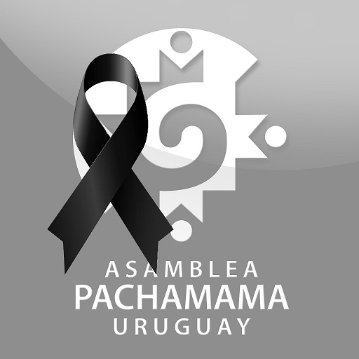 Asamblea Pachamama