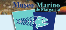 Fundación Museo del Mar