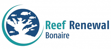 Reef Renewal Foundation Bonaire