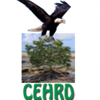 Center for Environment, Human Rights and Development (CEHRD)