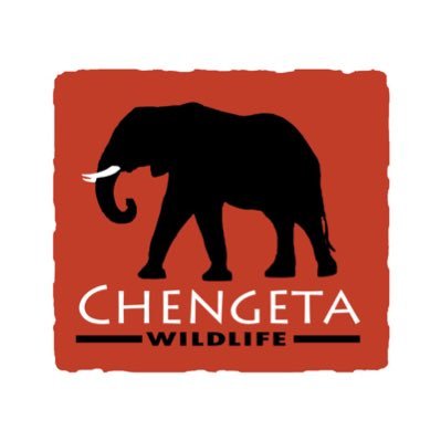 Chengeta Wildlife