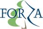 ФОРЗА