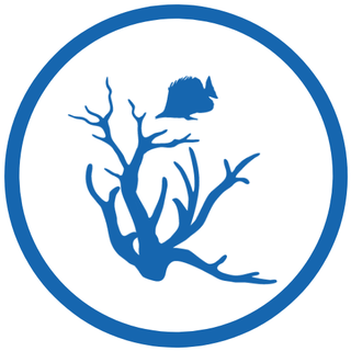 Blue Corner Marine Research