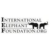 The International Elephant Foundation