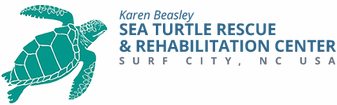 Karen Beasley Sea Turtle Rescue and Rehabilitation Center