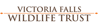 The Victoria Falls Wildlife Trust