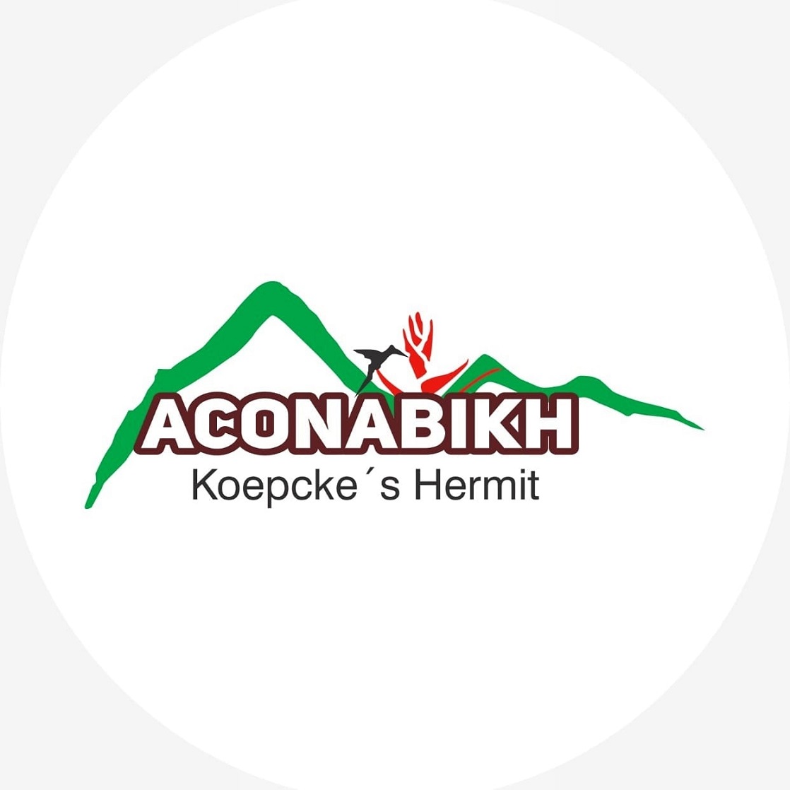 Asociacion para la Conservacion de Aves y la Biodiversidad Koepcke's Hermit