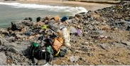 Marine and Coastal Conservation Society of Nigeria