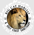 Big Cat Habitat Gulf Coast Sanctuary