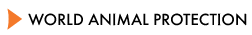 World Animal Protection International