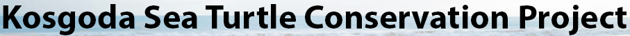 Kosgoda Sea Turtle Conservation Project