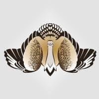 International Fund for Houbara Conservation (IFHC)