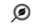 The European Nature Trust