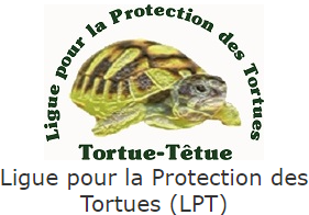 Ligue pour la Protection des Tortues