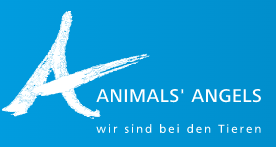Animals' Angels e.V.