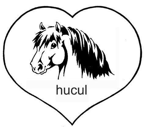 Slovenský Hucul Klub