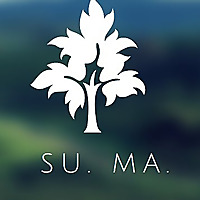 Sustainability Matters Daily