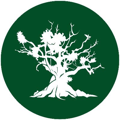 Rainforest Journalism Fund 