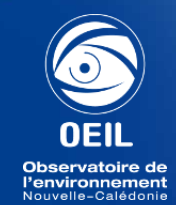 oeil