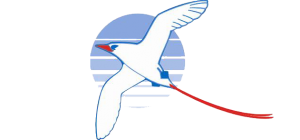 the National Environment Service 