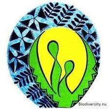 Department of Environment - Takatakaimotu Niue