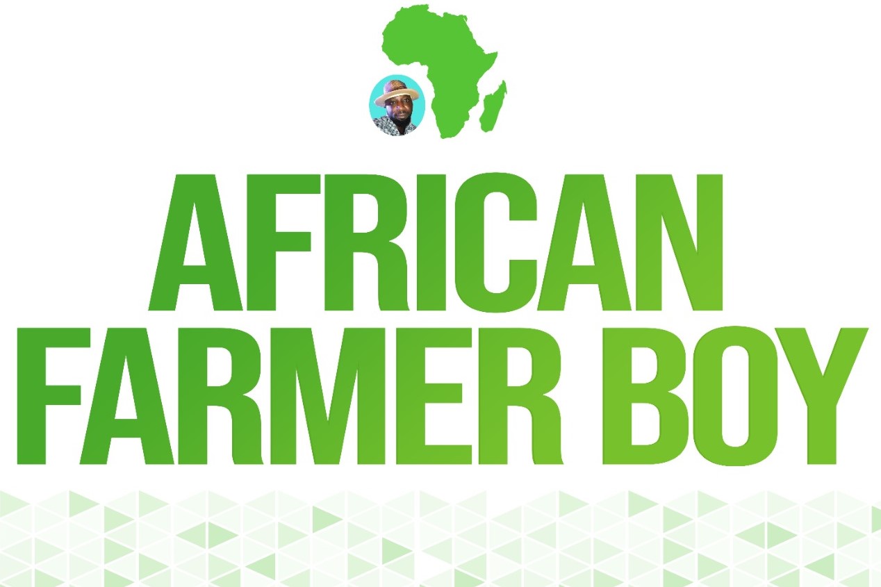 African Farmer Boy Limited Company