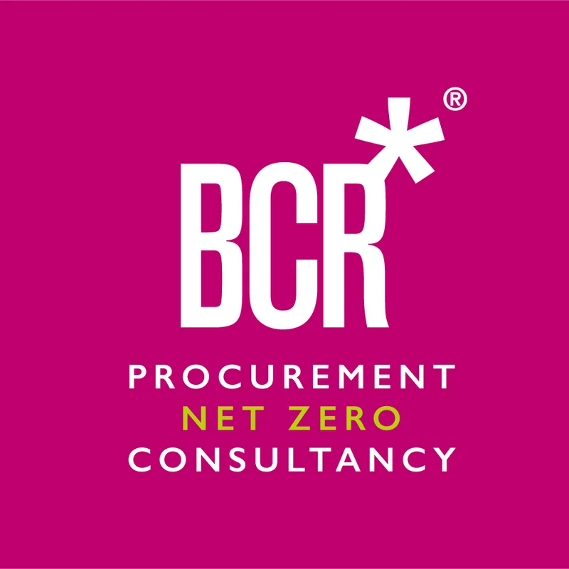 Business Cost Reduction Associates Ltd