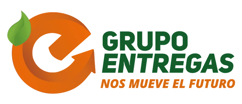 GRUPO ENTREGAS