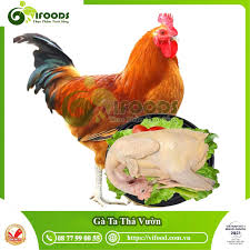 Thịt gà ta thả vườn