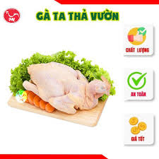 Thịt gà ta thả vườn