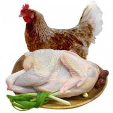 Thịt gà ta thả vườn