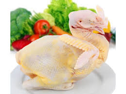 Gà thả đồi hữu cơ