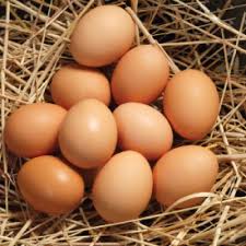 Trứng gà hữu cơ (10 quả)