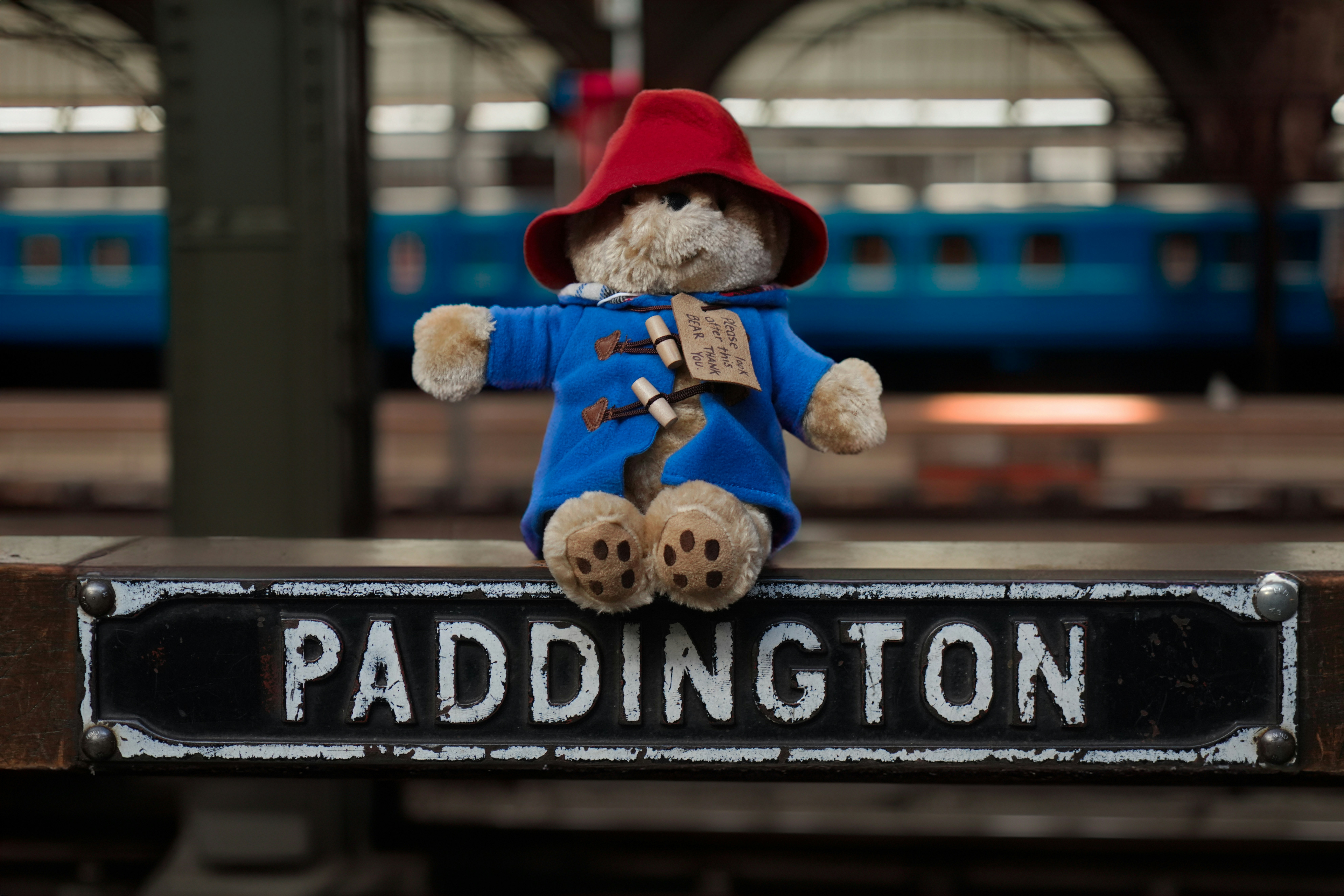 Paddington Bear’s Unexpected Legal Turn