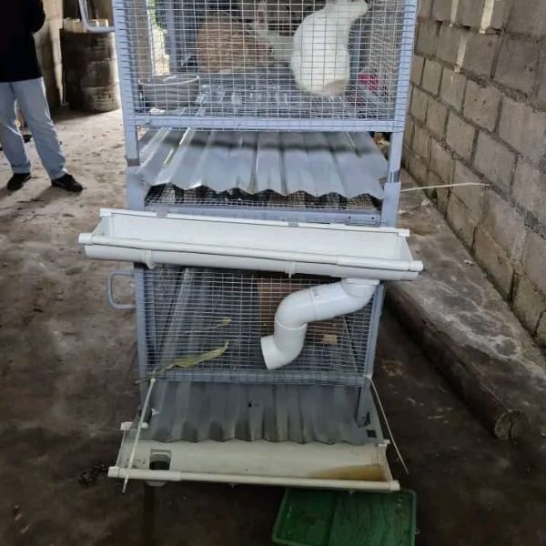 Rabbit Urine Collecting Cage
