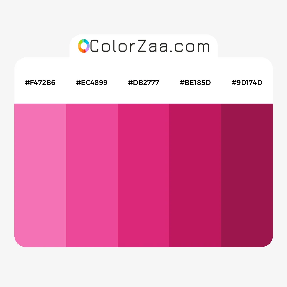 Color Palettes Generator