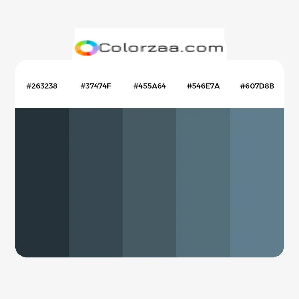 Wardrobe Color Palette