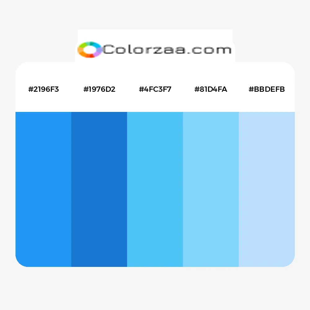Brand Color Palette