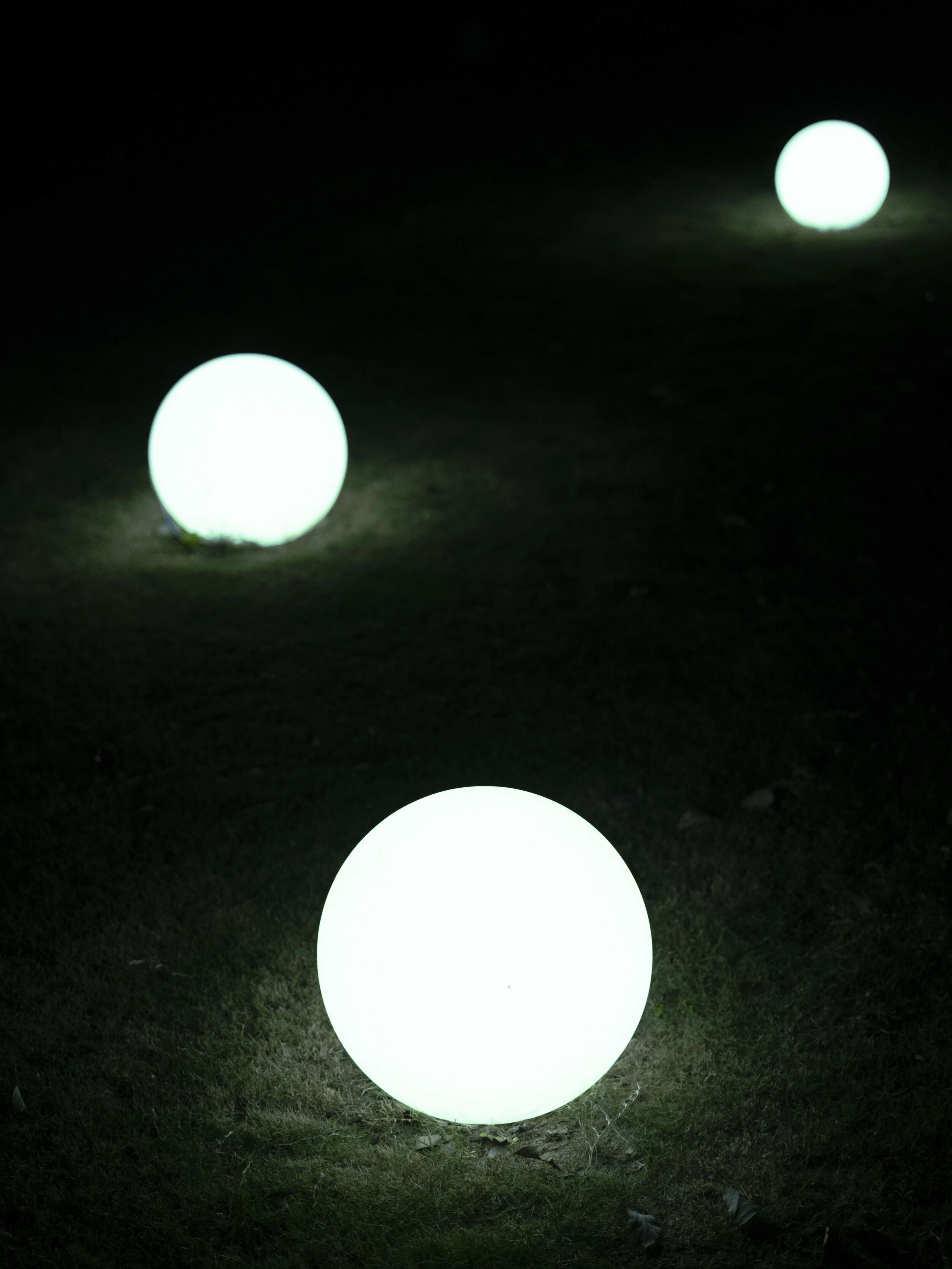 Photo 199