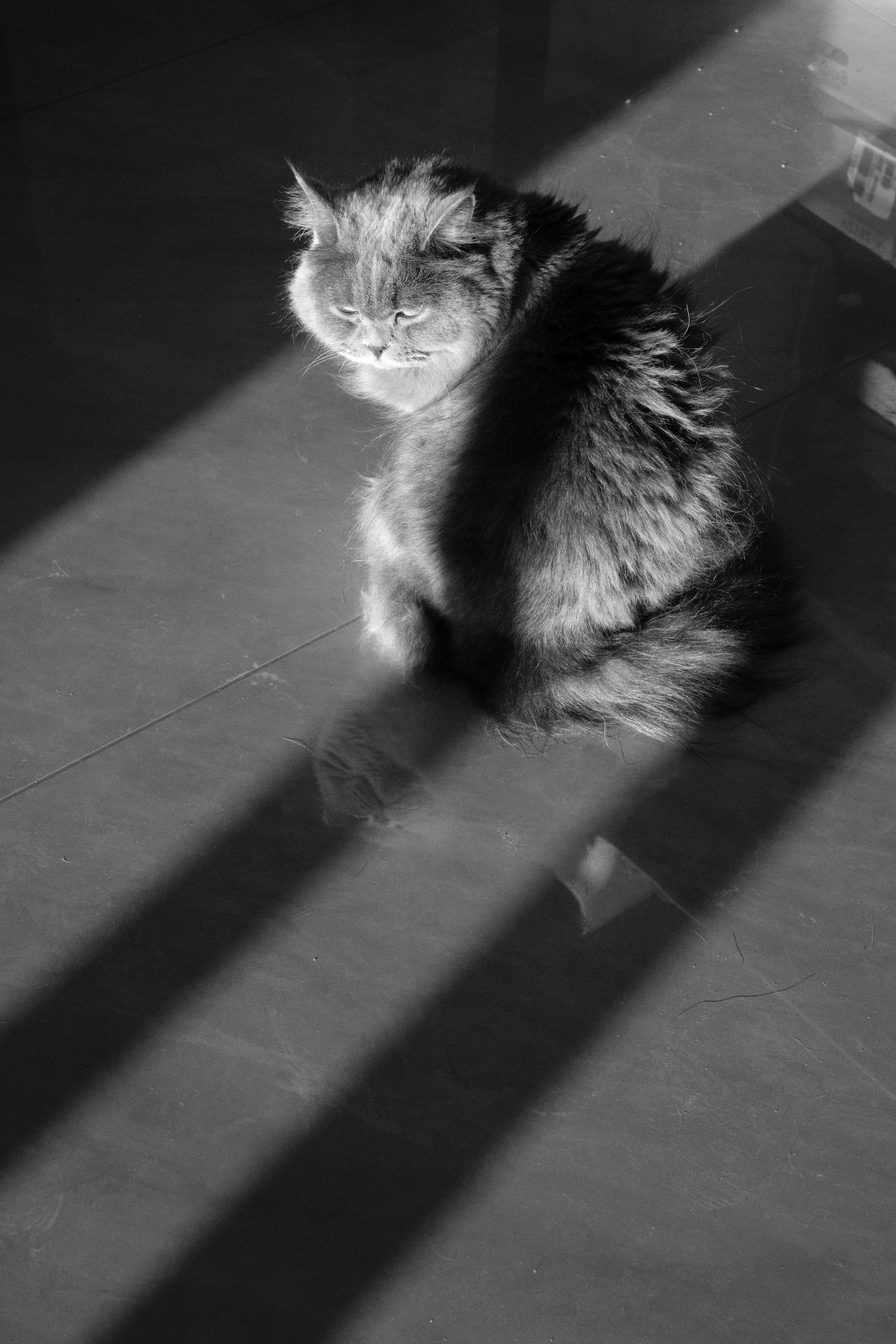 Photo 111