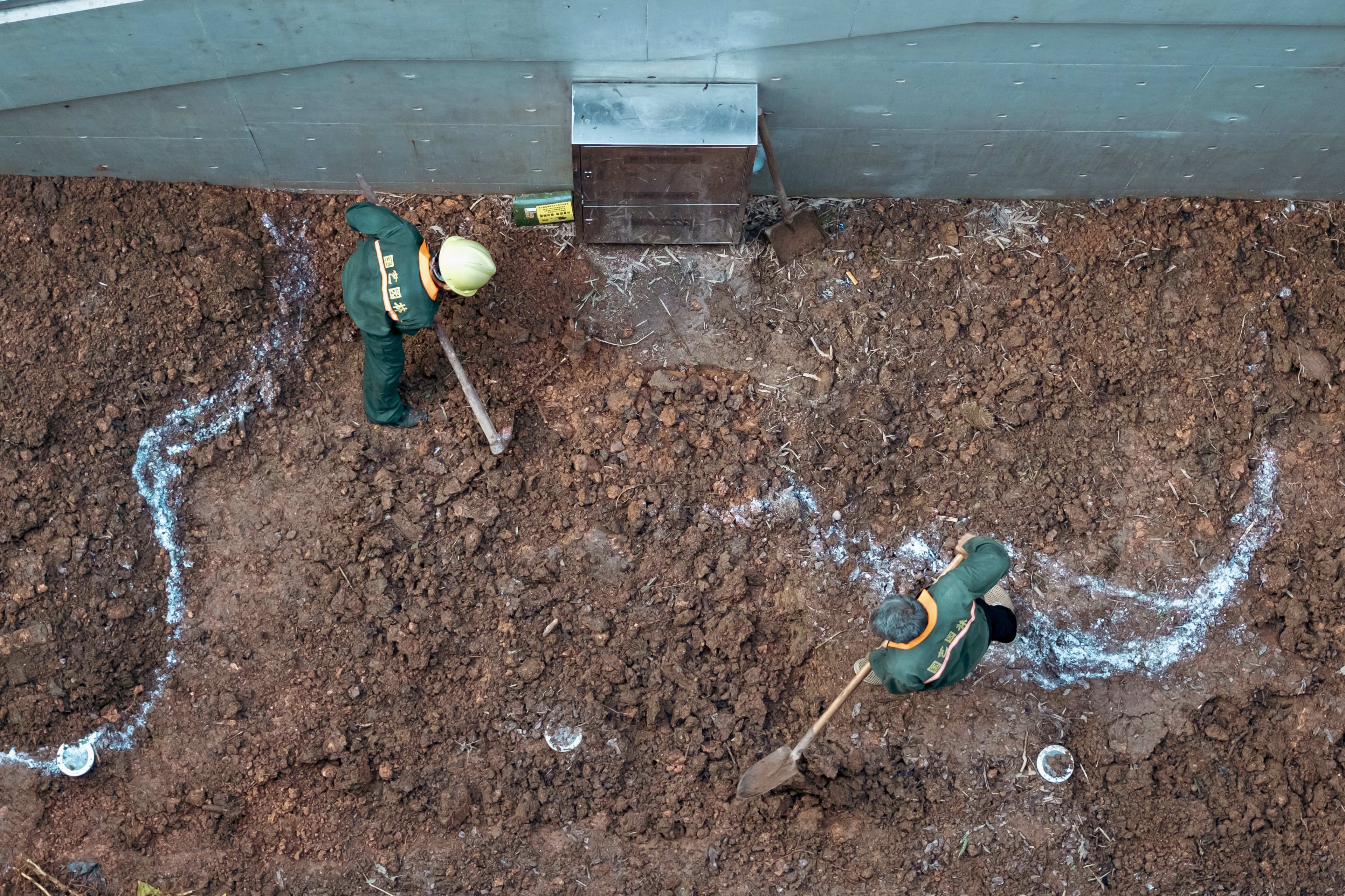 Photo 100