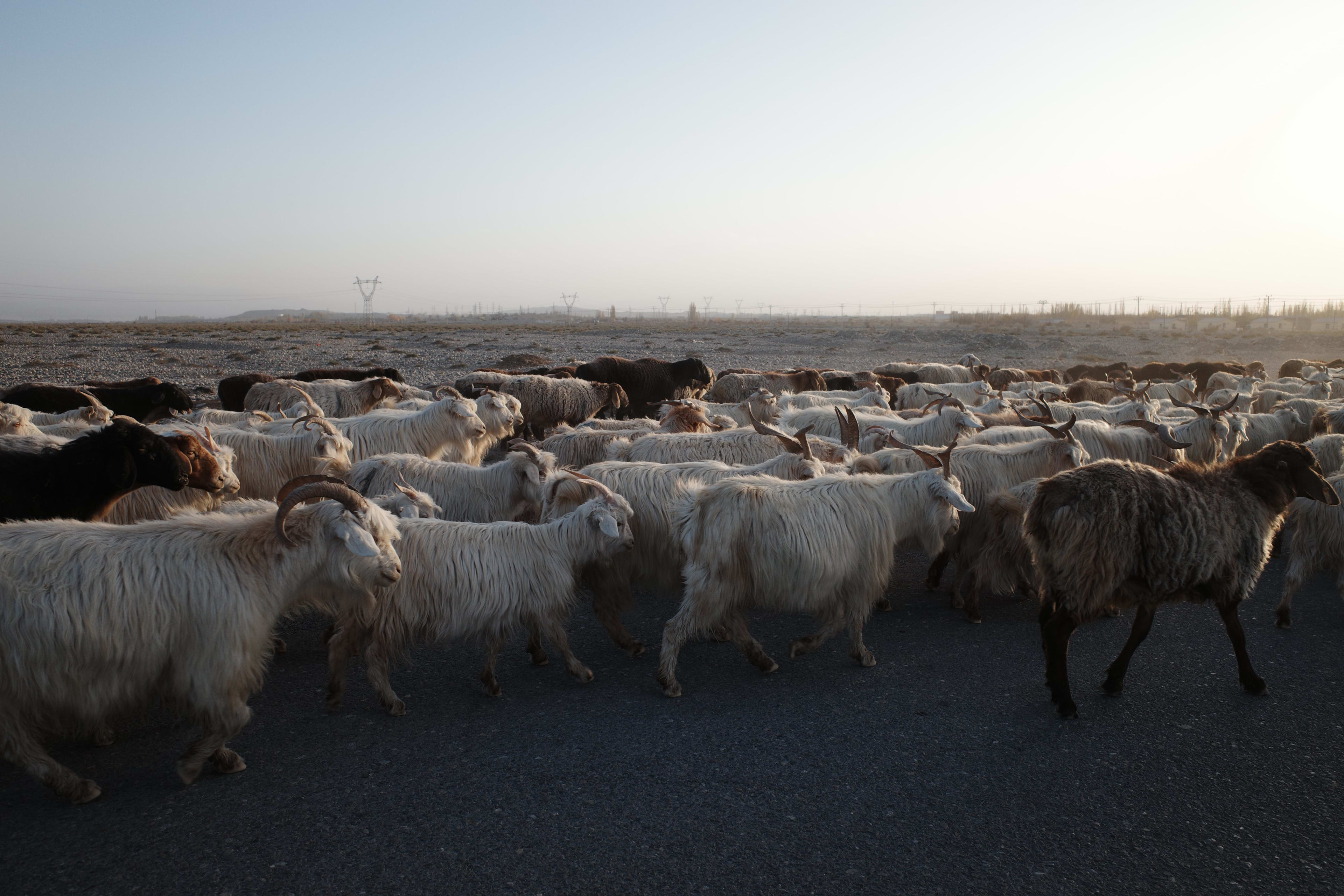Photo 31