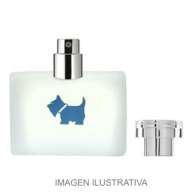 FERRIONI FOR MEN 100ML. EDT