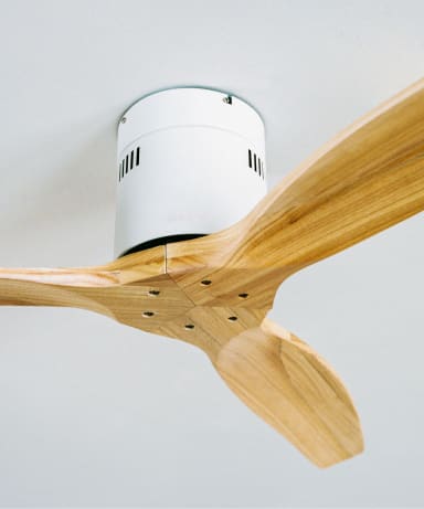 Ceiling fans