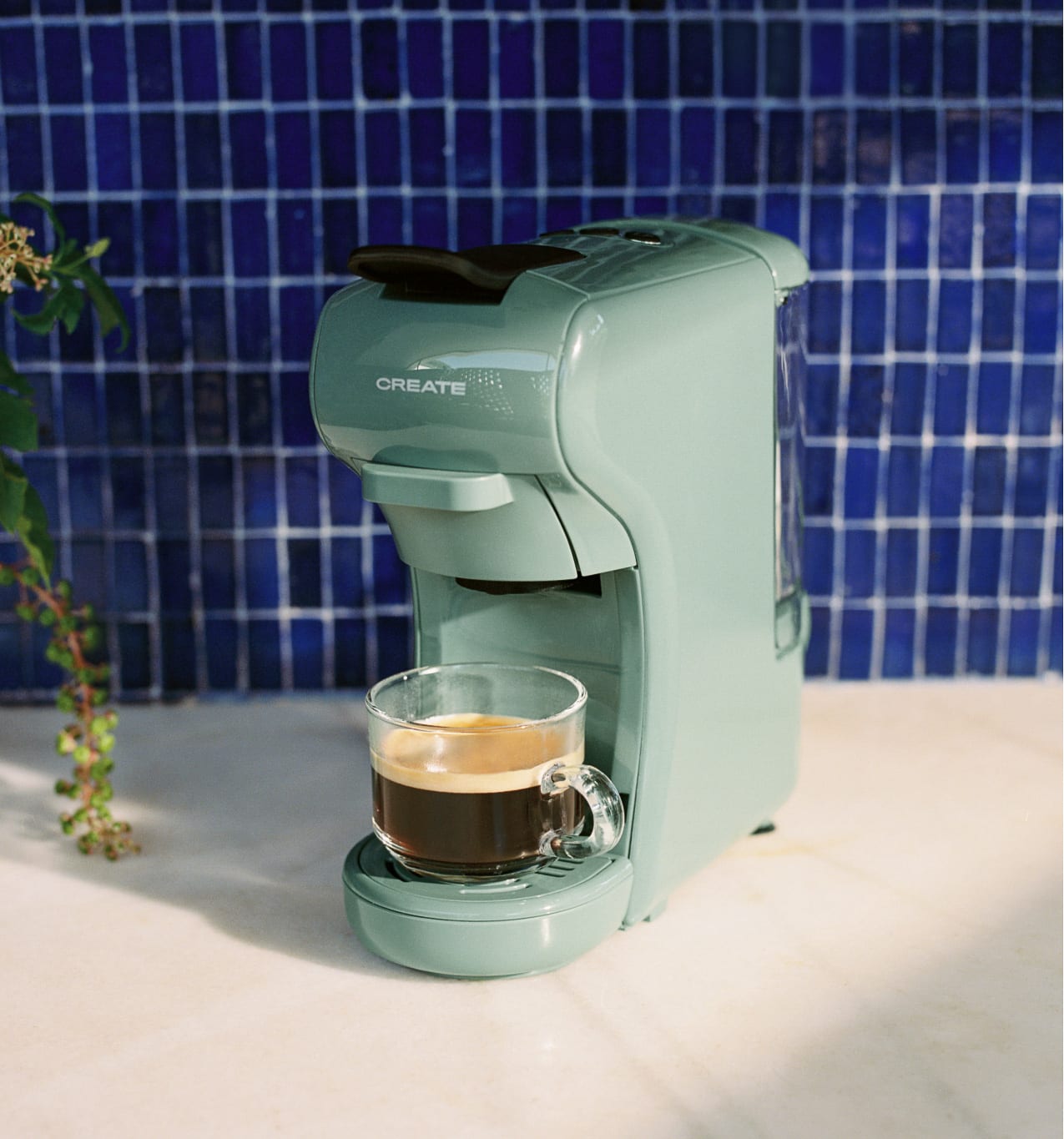 POTTS - Cafetera multicápsula express y café molido